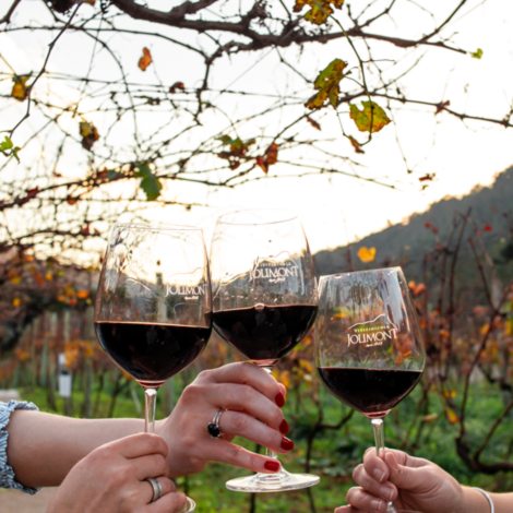 Tour Vinícola Jolimont - RS