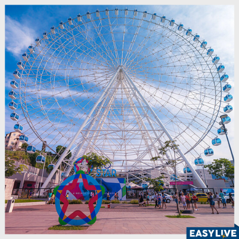 Yup Star | Roda Gigante do Rio